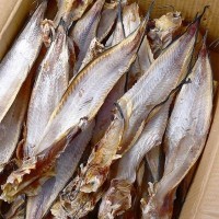 大马哈鱼干海鲶鱼干娃娃鱼干咸鱼干渔家自晒风干500克海鲜干货