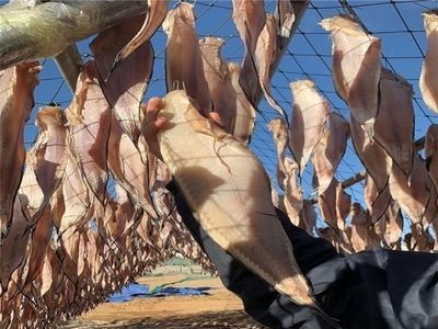 大马哈鱼干海鲶鱼干娃娃鱼干咸鱼干渔家自晒风干500克海鲜干货图5