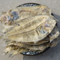 小号大地鱼干商用海鲜干货左口小鱼干铁铺风干海鱼比目鱼干