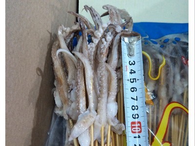 铁板鱿鱼小串冷冻鱿鱼须串烧烤肉串1000串14斤水产海鲜鱿鱼头鱿鱼图3