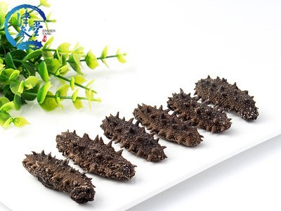 批发海参干货 津参堂大连海产品纯淡干海参7X级500g 辽参刺参海参图2