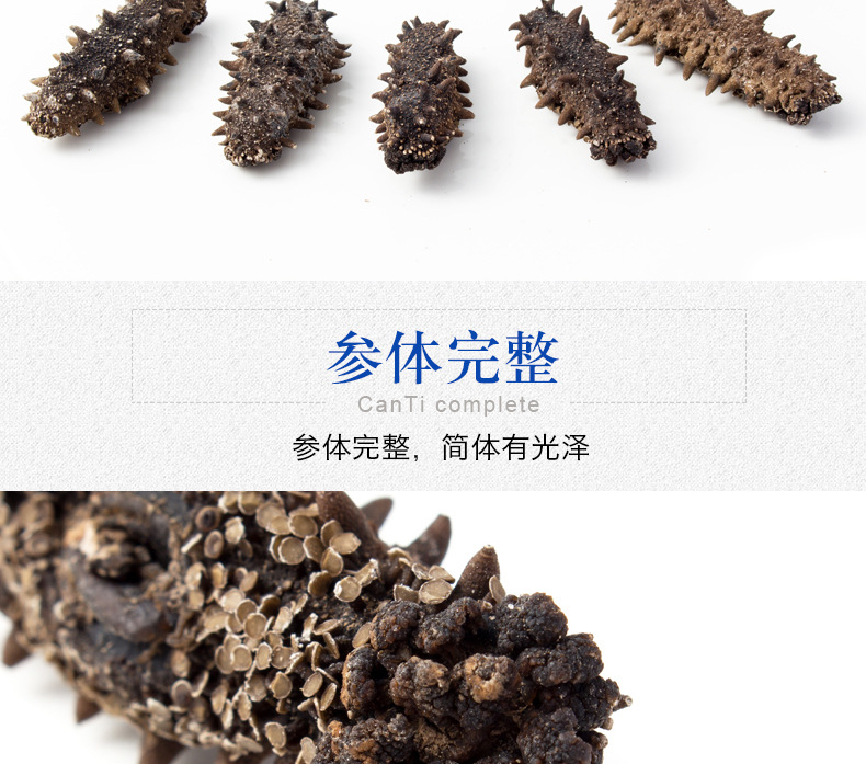 辽参刺参7X级-500g_10