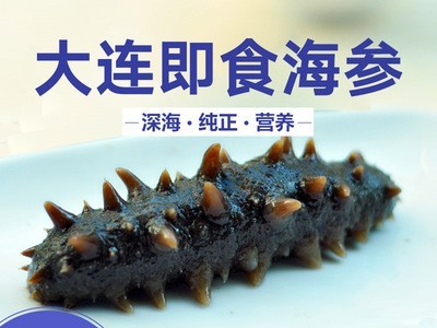 一手货源大连辽刺身高压即食海参板冻系列15头批发酒店佛跳墙从德图4