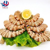 冷冻新鲜去头斑节虾 厂家自营海捕九节虾纯虾肉大虾身 顺丰发货