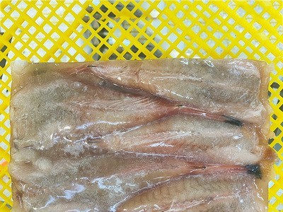 工厂现货供应安康鱼肉社区团购鲜冻安康鱼肘批发定制冷冻海产品图4