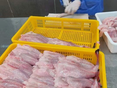 工厂现货供应安康鱼肉社区团购鲜冻安康鱼肘批发定制冷冻海产品图2