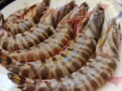 批发深海海鲜竹节虾 冷冻斑节虾 整只虎虾竹节虾图2