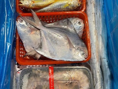 批发深海海鲜竹节虾 冷冻斑节虾 整只虎虾竹节虾图4