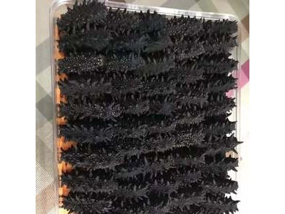 华阳进 口俄罗斯深海淡干海参礼盒礼品装海参8成干干货刺参图2