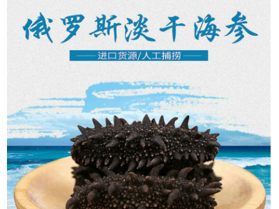 俄罗斯进口海参刺参干货 淡干海参50g 8.5成干海参一件代发图3