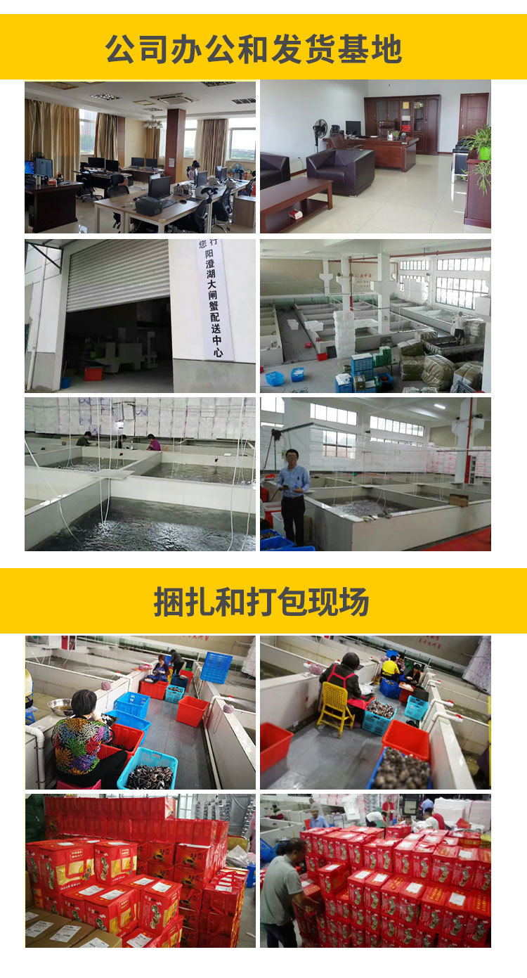 新神行阿里巴巴礼券详情页_02