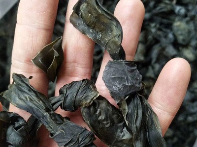 海带结批发 500g 免洗淡干 酒店食材 火锅食材 南北干货 厂家直供图2