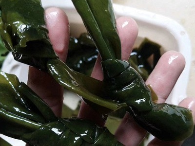 海带结批发 500g 免洗淡干 酒店食材 火锅食材 南北干货 厂家直供图5