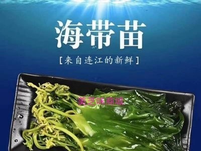 福建源头厂家直供小海带苗批发 火锅海带 散装500g海带苗 供应图5