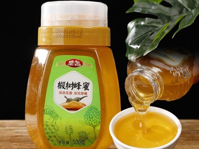 厂家现货 皇宫500g洋槐花蜜益母草椴树百花蜂蜜 农家自产蜂巢蜜图3