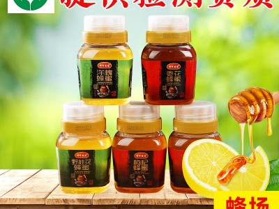 土蜂蜜460g农家液态蜂蜜批发椴树百花蜜自产自销蜂蜜图2