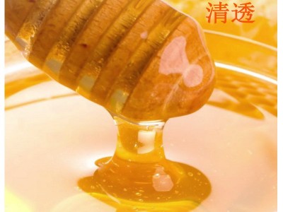 土蜂蜜460g农家液态蜂蜜批发椴树百花蜜自产自销蜂蜜图3