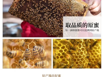 皇宫现货蜂蜜460g农家蜂场直批百花土蜂蜜荆条洋槐原蜜椴树蜂蜜图2