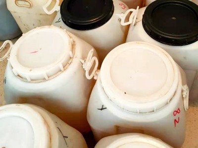 桶装蜂蜜 洋槐蜜 土蜂蜜 枣花蜜 蜂巢蜜 椴树蜜 源头蜂场大桶批发图4
