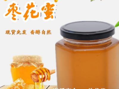 蜂场现货批发蜂蜜糖瓶装500g液态结晶蜜椴树蜜农家百花枣花蜜图2