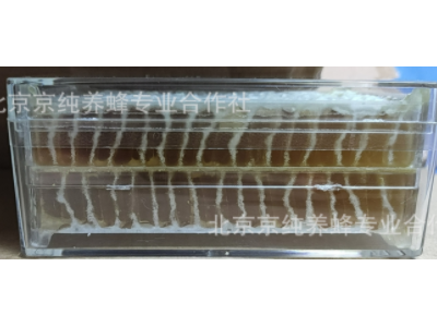 京纯荆花巢蜜250克 自然成熟蜜图4