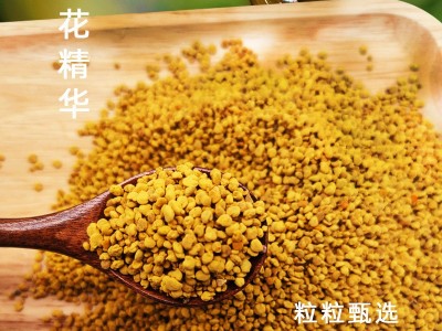 【蜂花粉】蕊源茶花粉山茶花粉天然花粉图5