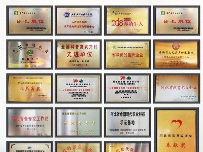 【便携蜂王浆】蕊源鲜王浆蜂王浆即采即冻果冻蜂皇浆便携包装图5