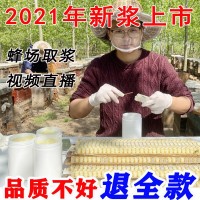 蜂王浆滋补营养农家自产新鲜500g活性蜂乳蜂皇浆蜂农自产蜂王浆