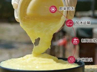 蜂王浆滋补营养农家自产新鲜500g活性蜂乳蜂皇浆蜂农自产蜂王浆图2