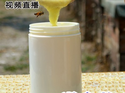 蜂王浆滋补营养农家自产新鲜500g活性蜂乳蜂皇浆蜂农自产蜂王浆图4