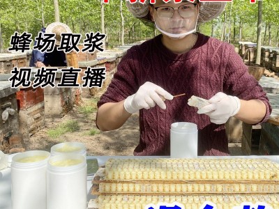 活性蜂乳蜂皇浆蜂农自产蜂王浆蜂王浆滋补营养农家自产新鲜500g图4