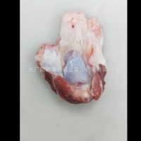 清真排酸肥羊 羔羊窝骨 羔羊膝盖骨 清真羊肉 烧烤食材