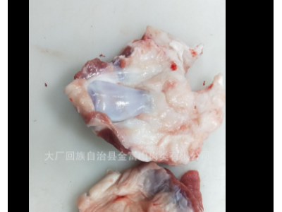 清真排酸肥羊 羔羊窝骨 羔羊膝盖骨 清真羊肉 烧烤食材图3