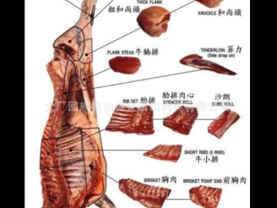 清真排酸肥牛 三号肥牛 速冻牛肉火锅烤肉食材批发 欢迎选图4