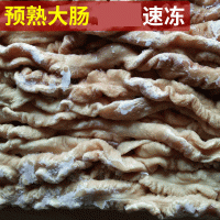 厂家供应预熟大肠 预熟猪大肠头猪肥肠 猪大肠猪小肠批发