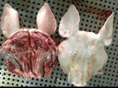 批发免洗猪头脱毛 冻猪头肉猪副产品冷冻猪头 冷冻食材临沂生猪头图4