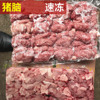 厂家供应批发猪脑 冻鲜猪脑花独立包装 烧烤火锅炖汤蒸煮脑花