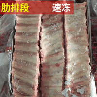 厂家批发肋排段 寸排 冷冻猪肋排边 猪肋排段肋排条