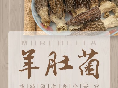 西萃御品恩施富硒羊肚菌羊肚菇野生羊肚菌恩施特产50克罐装图2