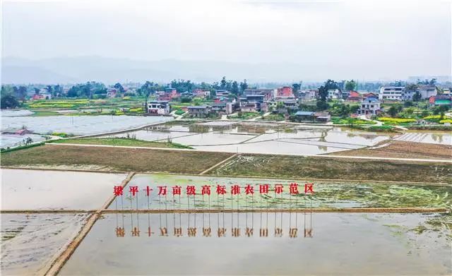 位于星桥镇两路村的梁平十万亩级高标准农田（资料图） 图：梁平发布