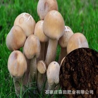厂家出售有机肥 发酵羊粪 蘑菇用肥 欢迎来电咨询