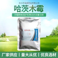 烂根死苗改良土壤微生物菌剂哈茨木霉 农业用防死棵重茬哈茨木霉