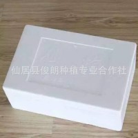 【俊朗预售本地新鲜仙居特等东魁杨梅 产地直发 批发零售 招代理