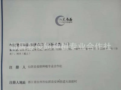 【俊朗预售本地新鲜仙居特等东魁杨梅 产地直发 批发零售 招代理图5