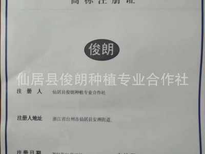 【俊朗预售本地新鲜仙居特等东魁杨梅 产地直发 批发零售 招代理图4