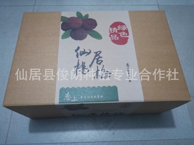 【俊朗预售本地新鲜仙居特等东魁杨梅 产地直发 批发零售 招代理图3