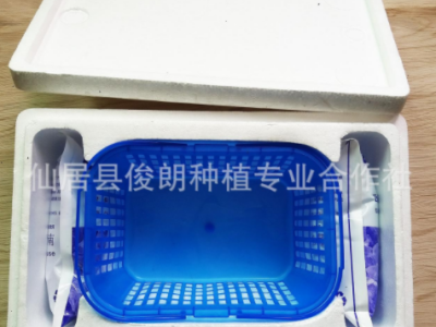 预售仙居新鲜特等东魁杨梅 原产地直发 江浙沪到家 3斤装六月上市图3