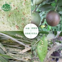 基得石硫合剂果树腐烂病杀螨涂白剂杀菌清园剂400克*20袋/箱
