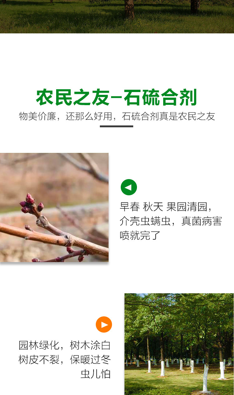 01石硫合剂水剂详情_04.jpg