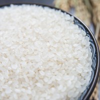 呼伦贝尔大米珍珠米25kg产地销售厂家直销袋装东北大米50斤圆粒米